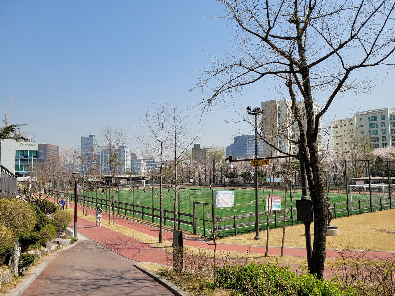 马以来