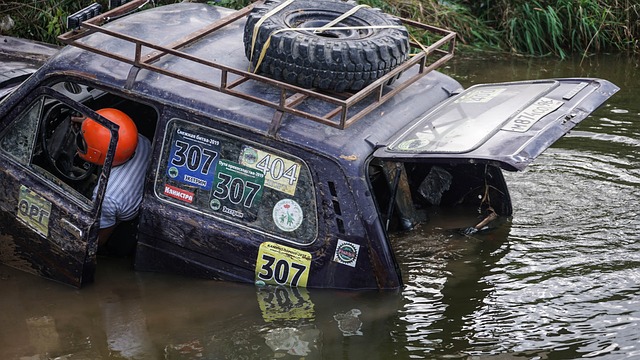 更显得雪上 更显得雪上