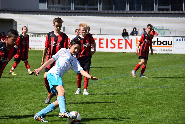 天赋的青少 天赋的青少