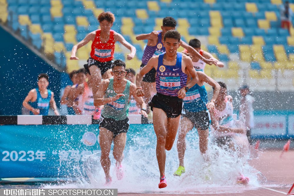 体育活动 体育活动