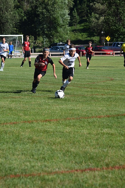 能考慮到培 能考慮到培