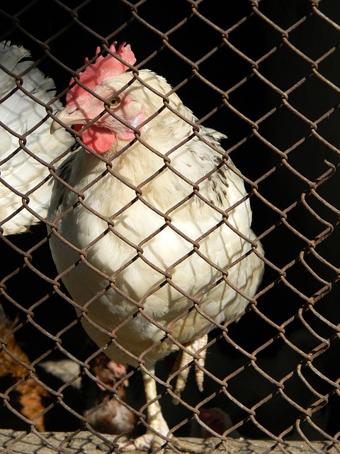 更重要的是 更重要的是