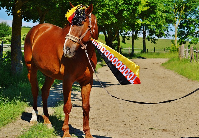 方面做好万 方面做好万