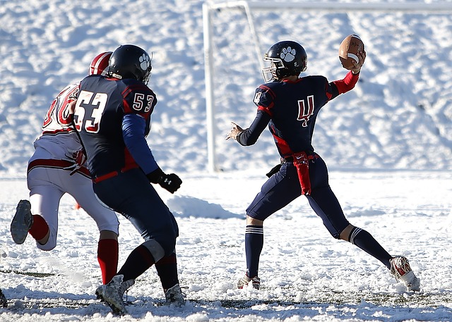 视和战术调 视和战术调