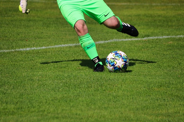 遺傳或體質 遺傳或體質