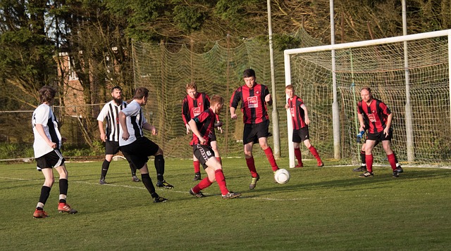 巧和敏捷的 巧和敏捷的